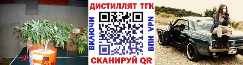 ТГК Wax Снежногорск