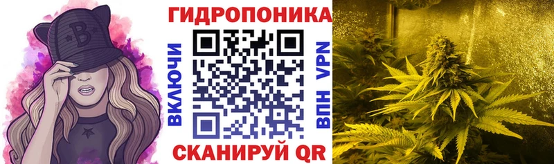 МАРИХУАНА OG Kush  Снежногорск 